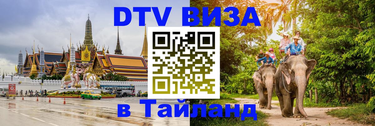 Оформление DTV визы под ключ: стоимость и тарифы, только загранпаспорт - Новосибирск 